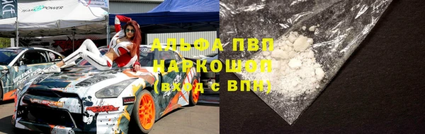 СК Касимов