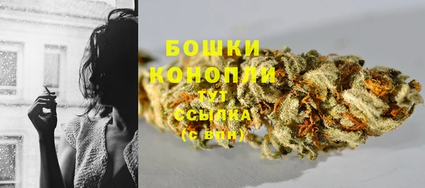 экстази Каменка