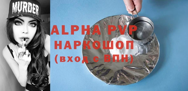 СК Касимов